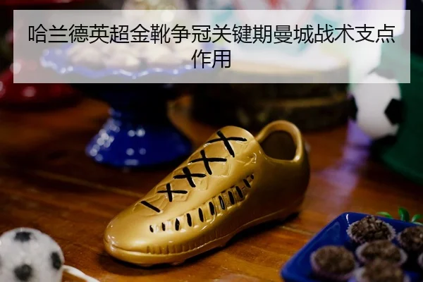 ha-lan-de-ying-chao-jin-xue-zheng-guan-guan-jian-qi-man-cheng-zhan-shu-zhi-dian-zuo-yong-2-580.jpg