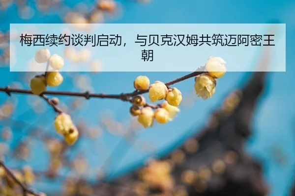 mei-xi-xu-yue-tan-pan-qi-dong-yu-bei-ke-han-mu-gong-zhu-mai-a-mi-wang-chao-2-440.jpg