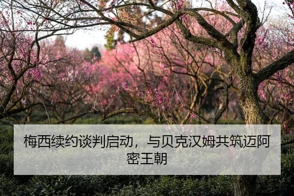 梅西续约谈判启动，与贝克汉姆共筑迈阿密王朝
