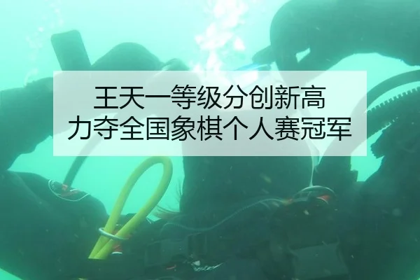 王天一等级分创新高 力夺全国象棋个人赛冠军